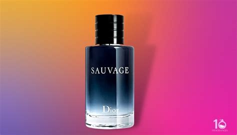 what is the best clone of dior sauvage|alternatives to dior sauvage.